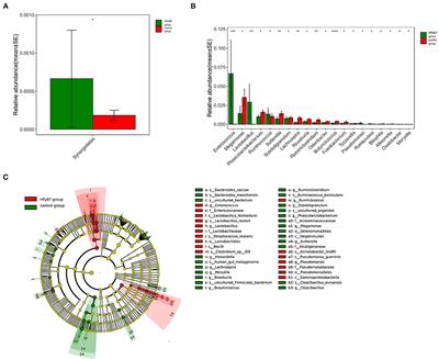 Gut Microbiota in Heart Failure Patients With Preserved Ejection Fraction (GUMPTION Study)